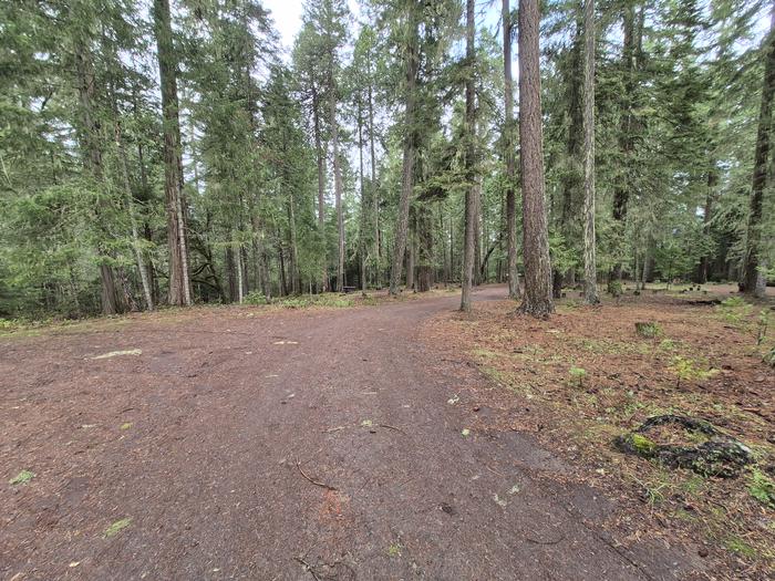 Threehorn Campground photo 2