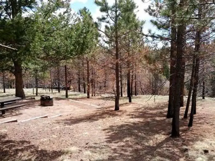 THUNDER RIDGE photo