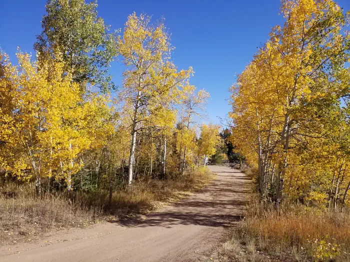 Tie City Campground (WY) photo 4
