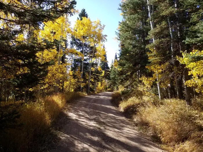 Tie City Campground (WY) photo 5