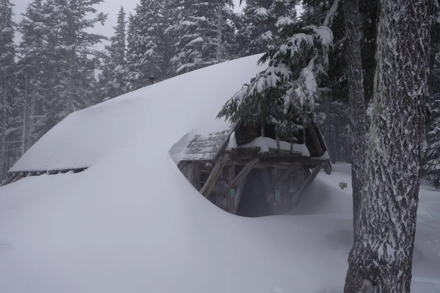 TILLY JANE A-FRAME photo 3