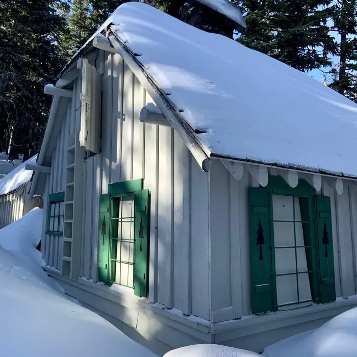 TILLY JANE GUARD STATION photo 2
