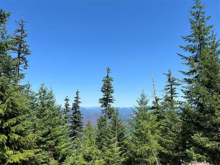 TIMBER BUTTE CABIN photo 3