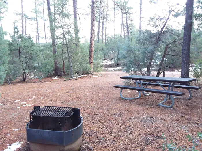 TIMBER CAMP RECREATION AREA and GROUP CAMPGROUNDS photo 3