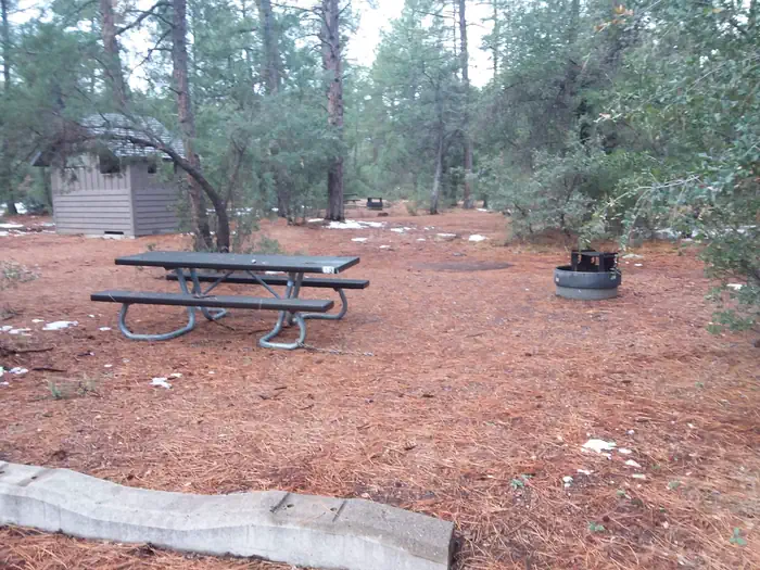 TIMBER CAMP RECREATION AREA and GROUP CAMPGROUNDS photo 4