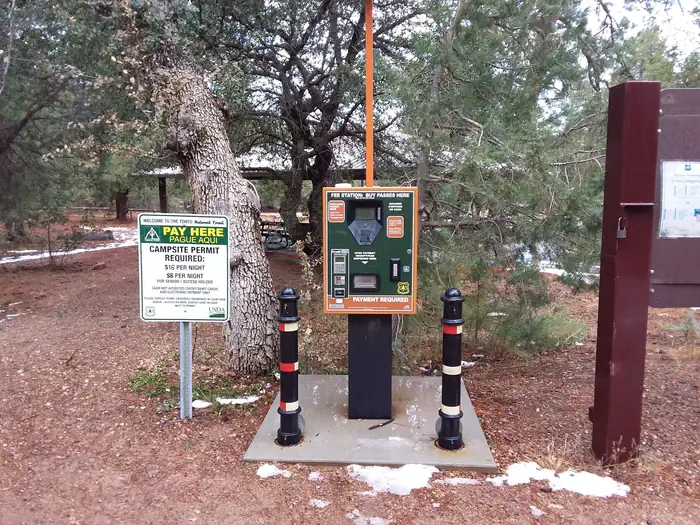 TIMBER CAMP RECREATION AREA and GROUP CAMPGROUNDS photo 5