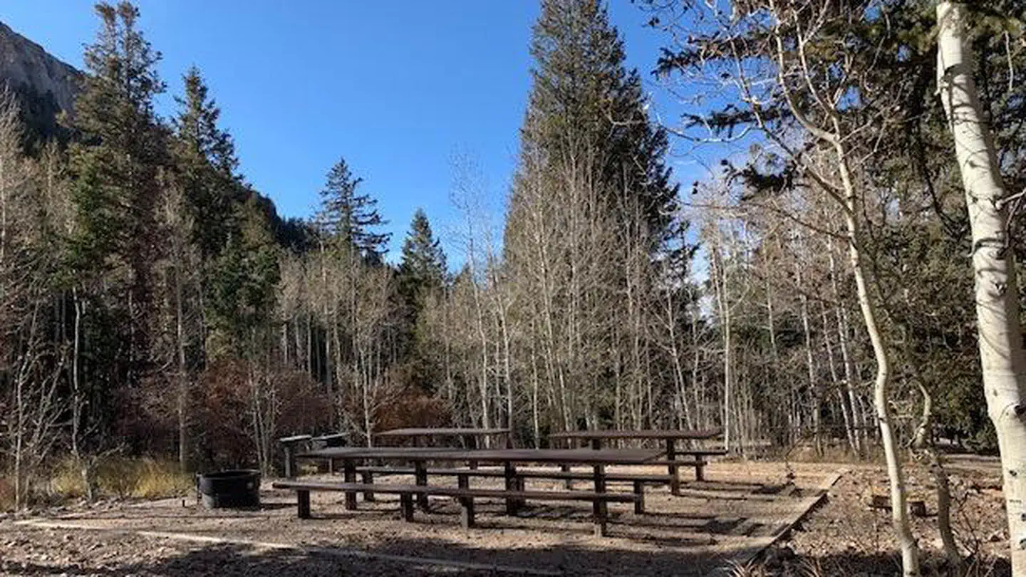 TIMBER CREEK CAMPGROUND photo