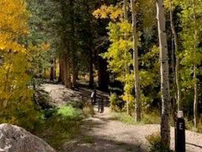 TIMBER CREEK CAMPGROUND photo 3