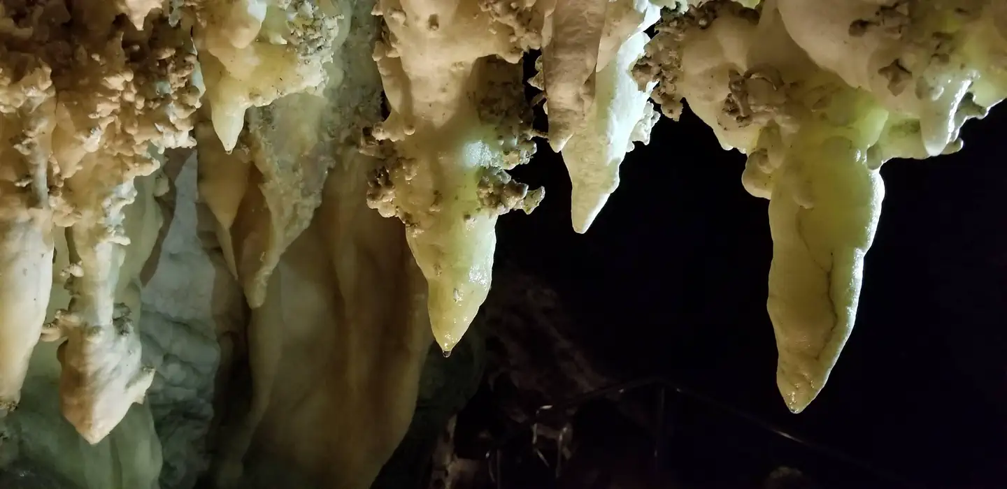 Timpanogos Cave National Monument Tours photo 5