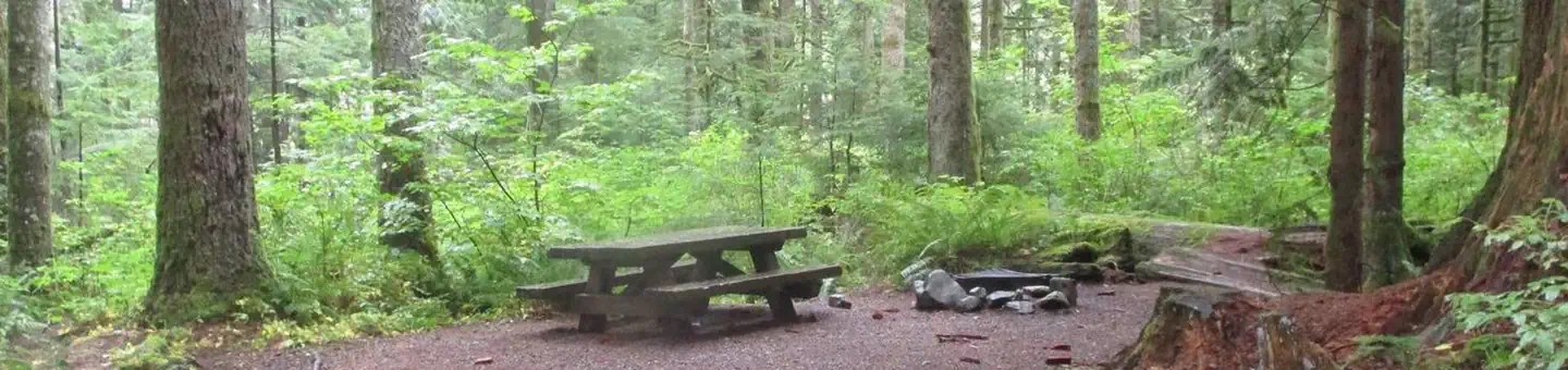 Tinkham Campground photo