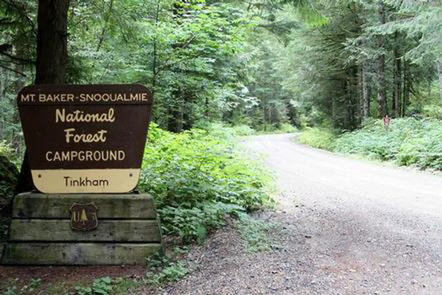 Tinkham Campground photo 2