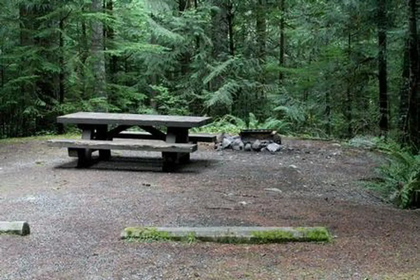 Tinkham Campground photo 4