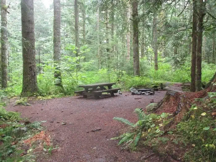 Tinkham Campground photo 5
