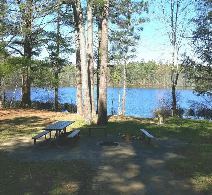 TOM'S LAKE CABIN photo 2