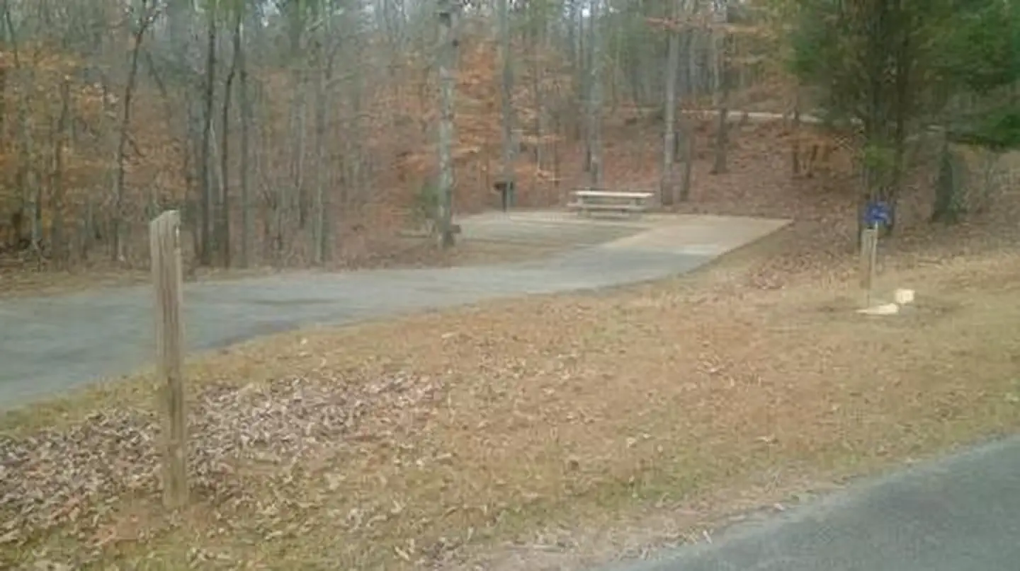 Toto Creek Campground photo 3