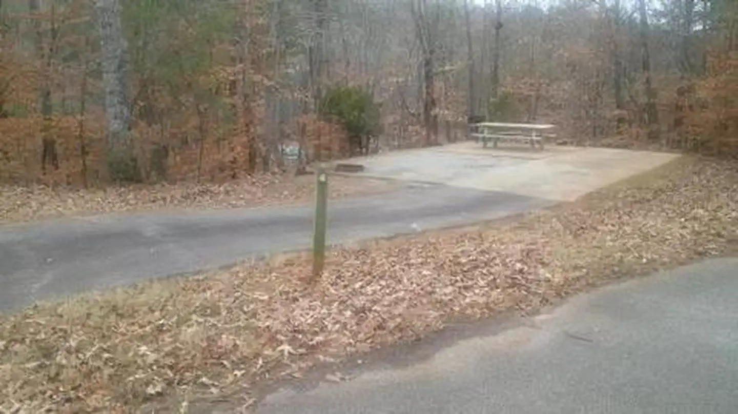 Toto Creek Campground photo 4