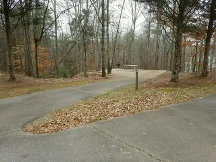 Toto Creek Campground photo 5