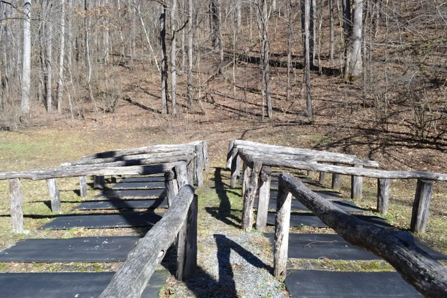 TOW STRING HORSE CAMP photo 3