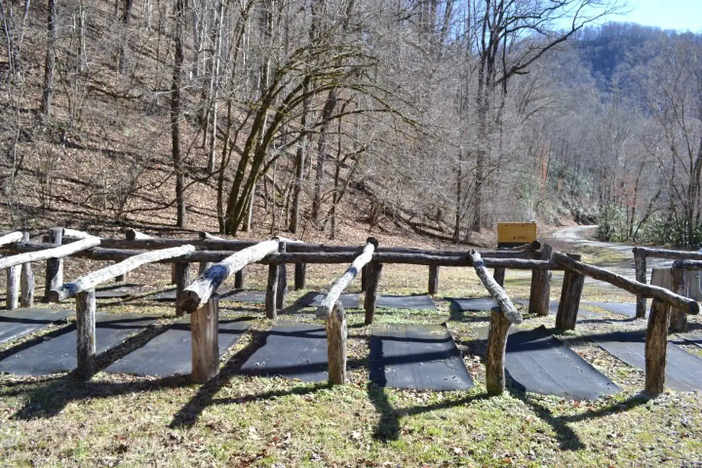 TOW STRING HORSE CAMP photo 5