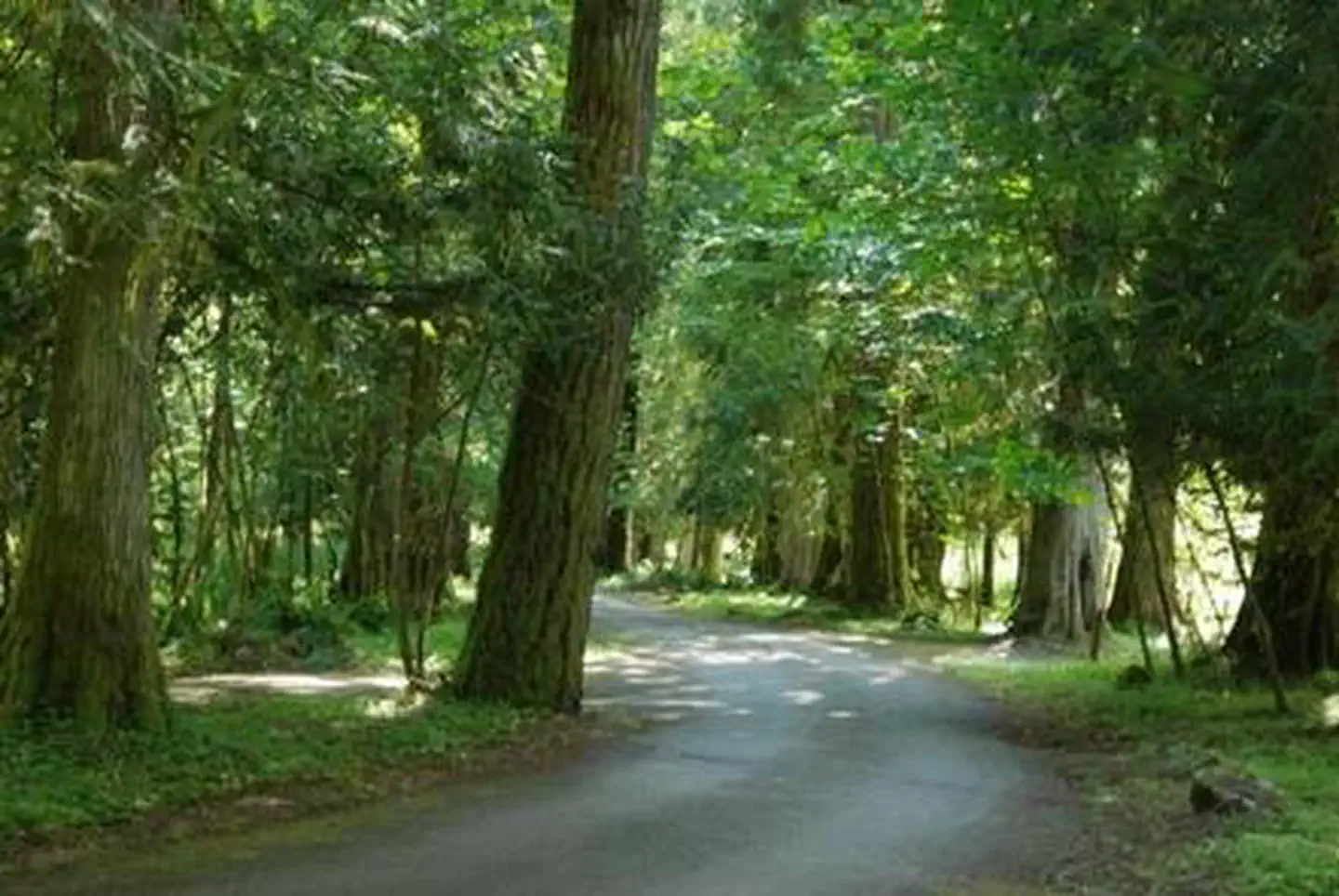 Tower Rock Campground photo 3
