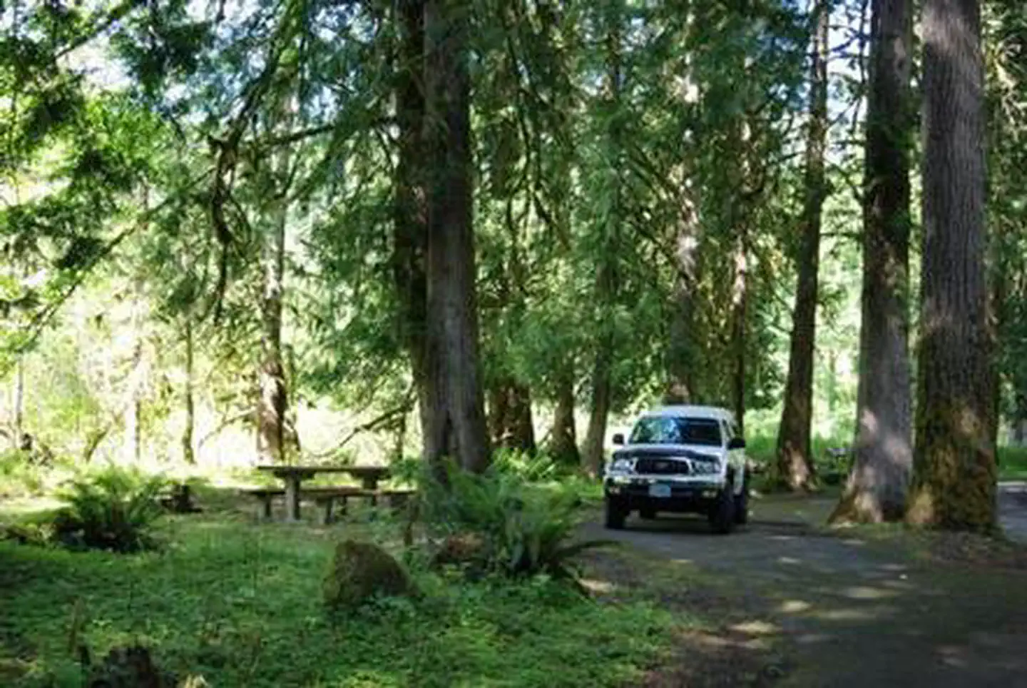 Tower Rock Campground photo 5