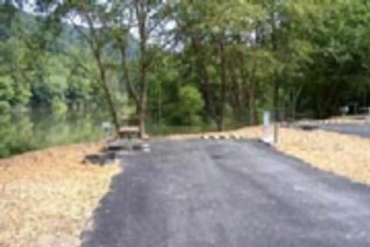 TRACE BRANCH CAMPGROUND photo