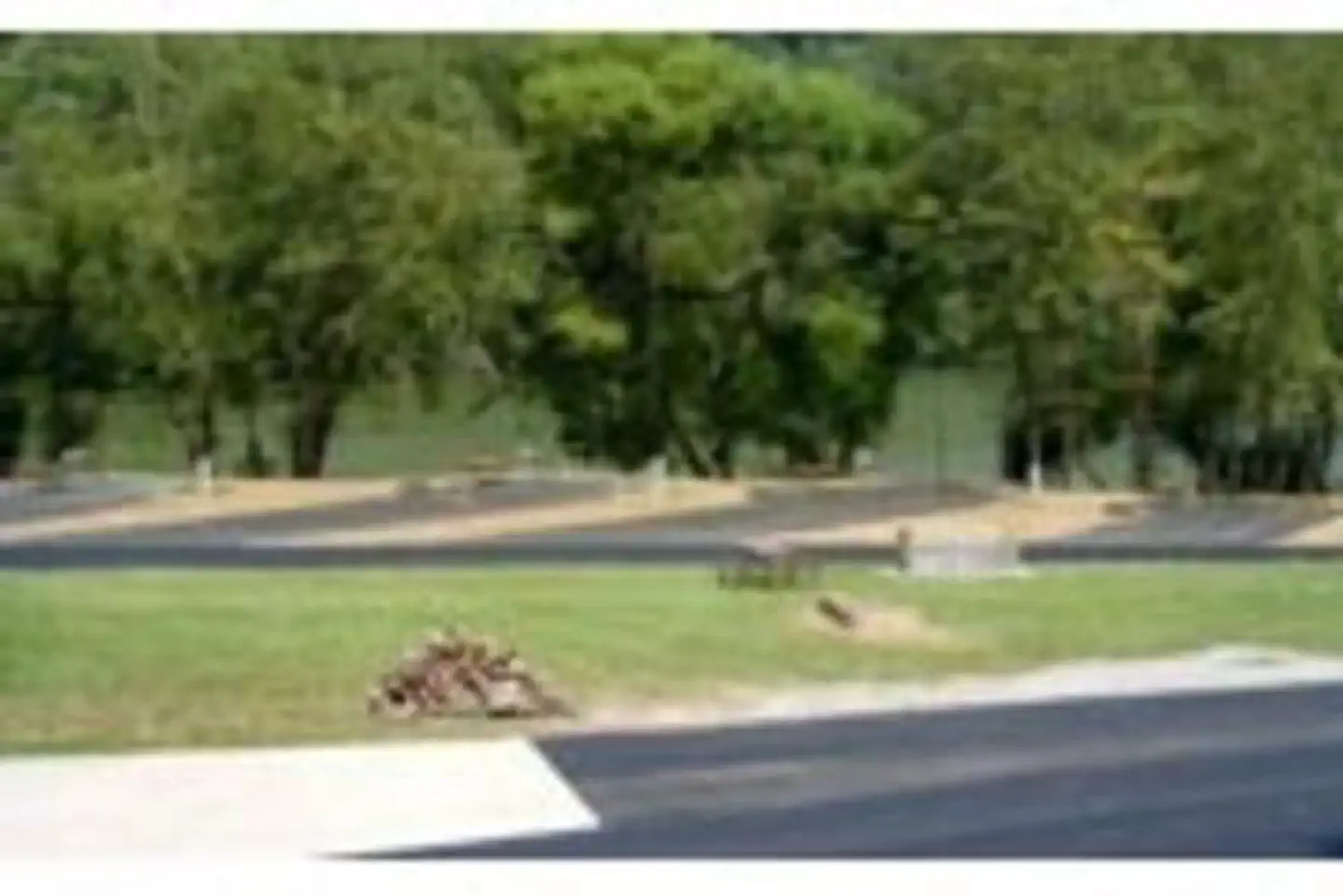 TRACE BRANCH CAMPGROUND photo 2