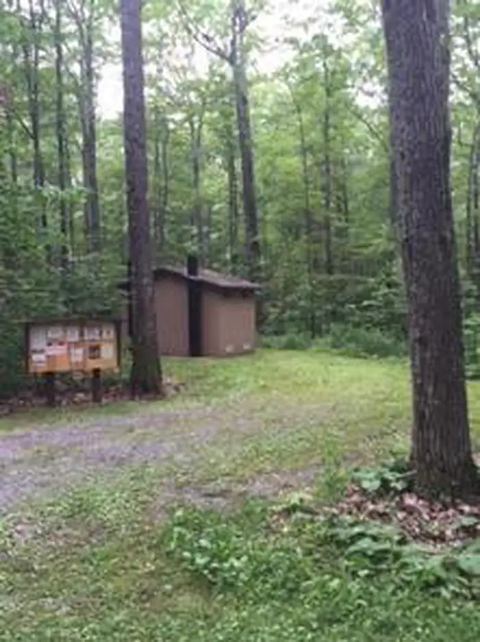 TRACY RIDGE photo 5