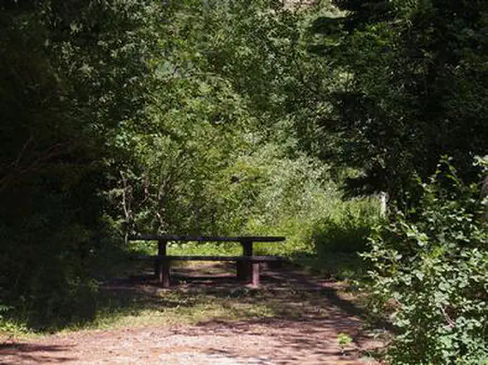 TRAIL CREEK photo