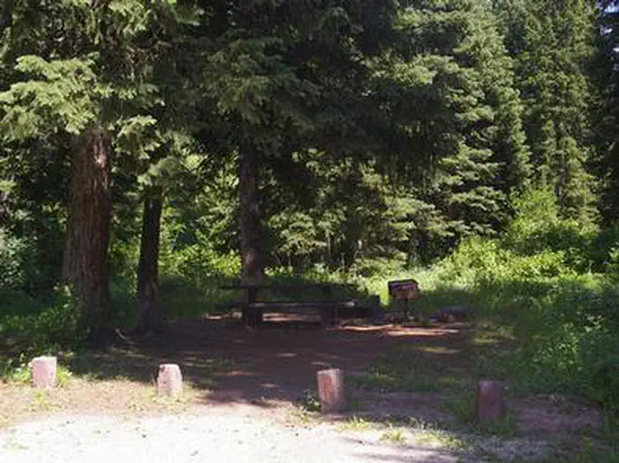 TRAIL CREEK photo 3