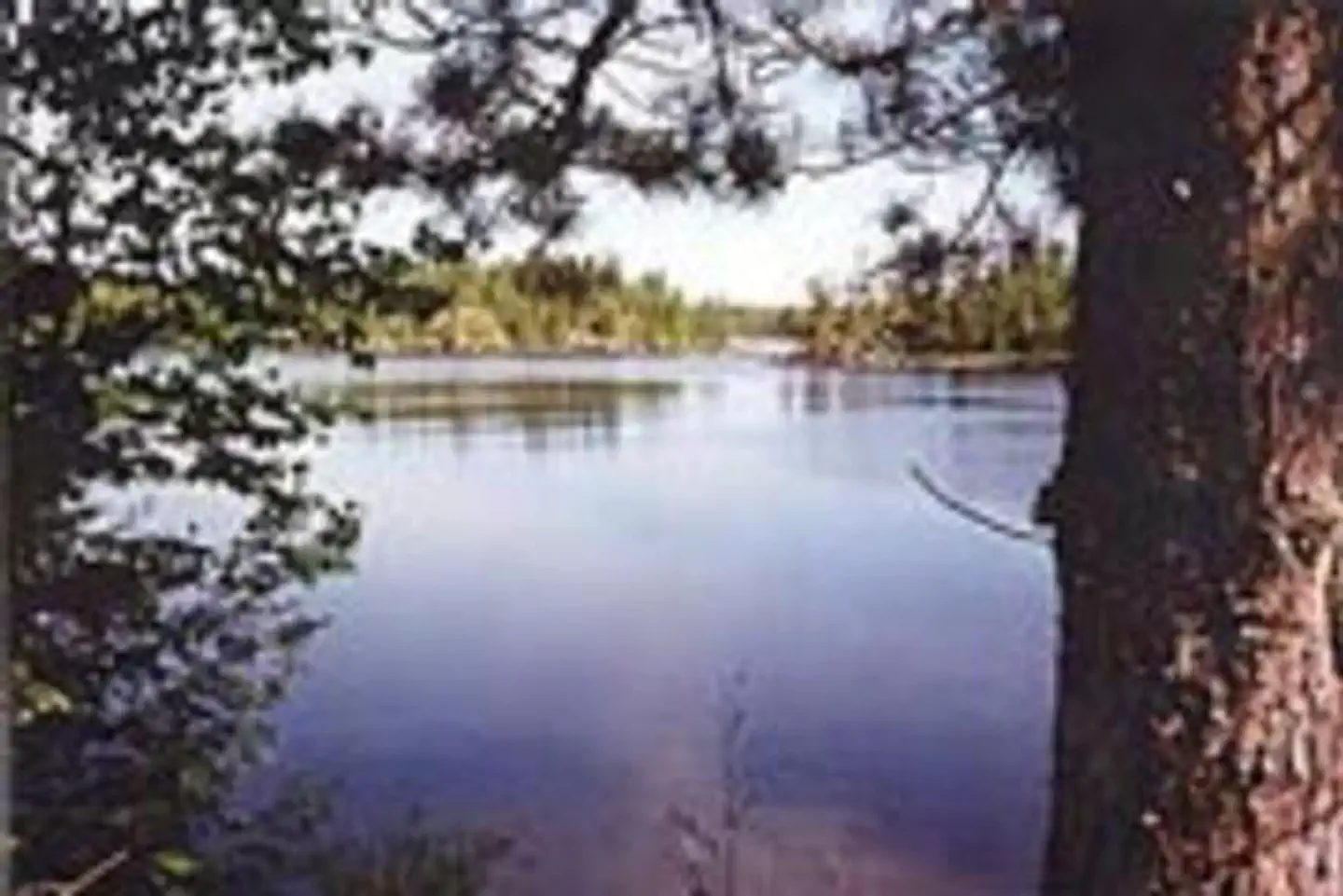 TRAILS END CAMPGROUND photo 5