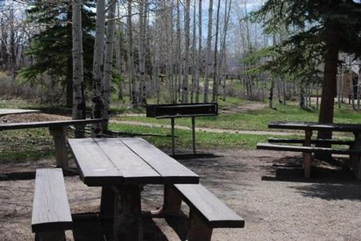 Transfer Campground photo 3