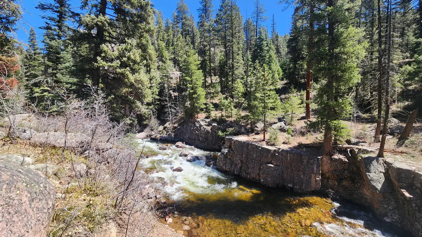 Transfer Park Campground photo