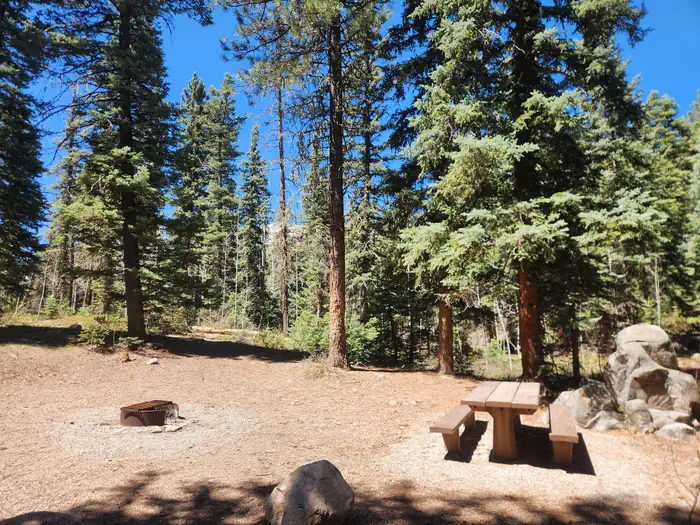 Transfer Park Campground photo 2
