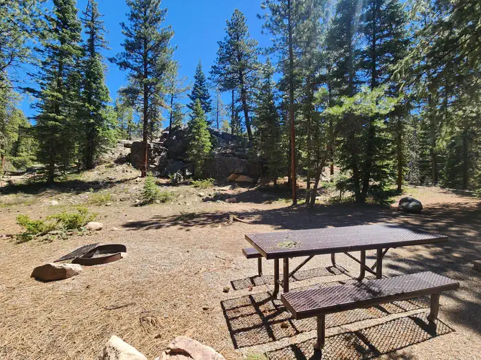 Transfer Park Campground photo 3