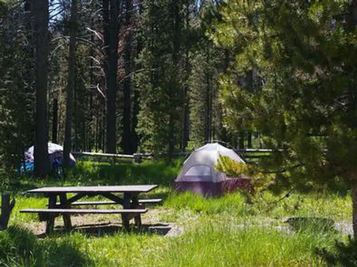 TRAP CREEK CAMPGROUND photo 3