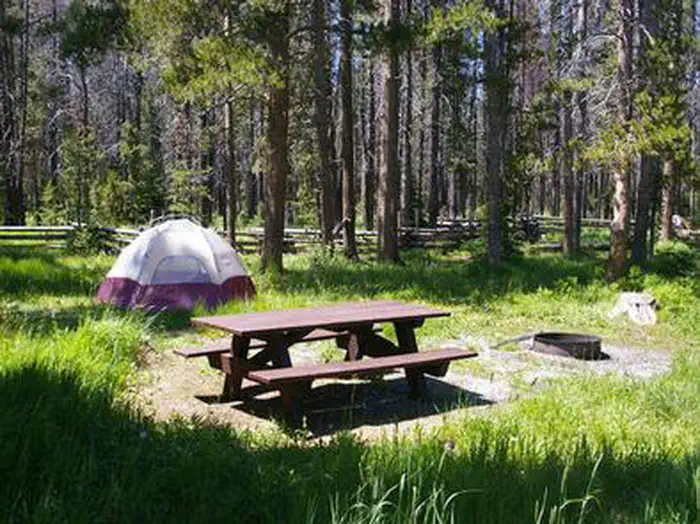 TRAP CREEK CAMPGROUND photo 5