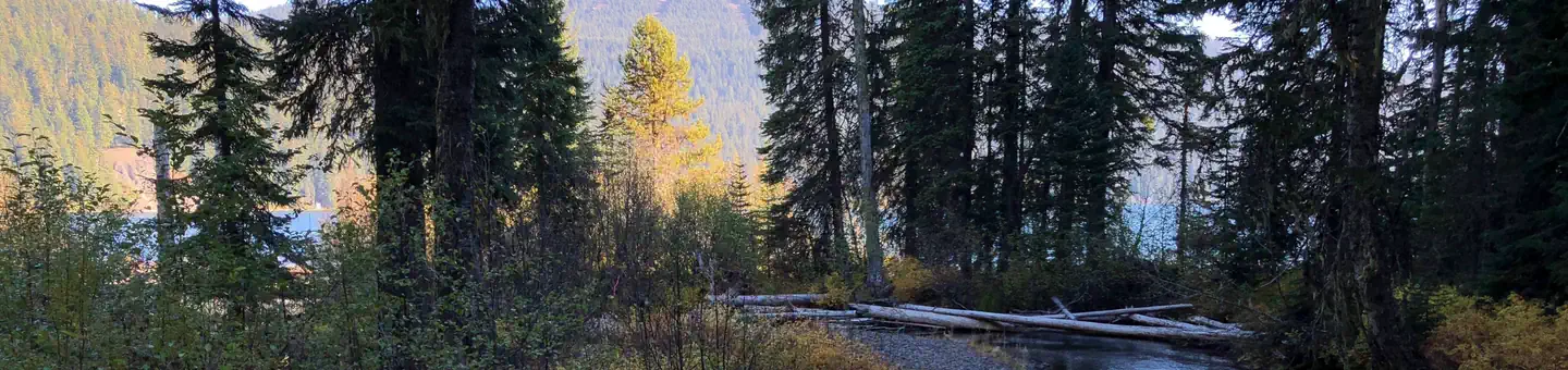 Trapper Creek Campground photo