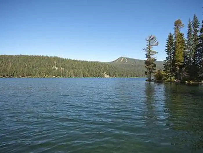 Trapper Creek Campground photo 3