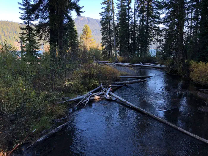 Trapper Creek Campground photo 4