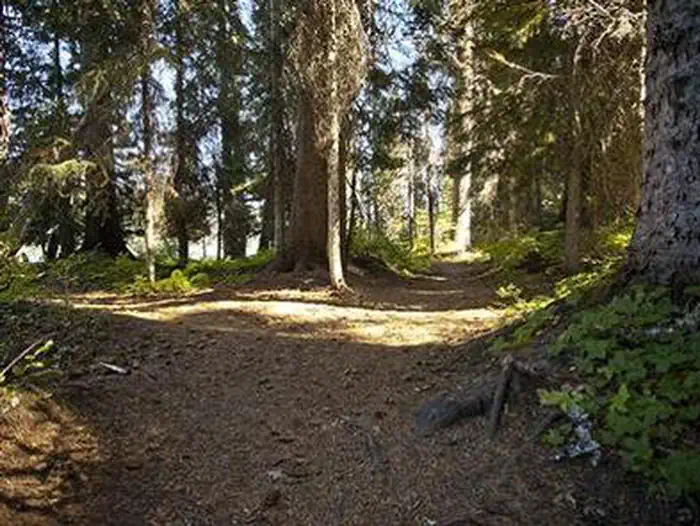 Trapper Creek Campground photo 5