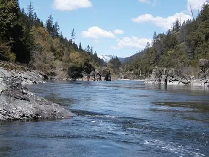 TREE OF HEAVEN CAMPGROUND photo