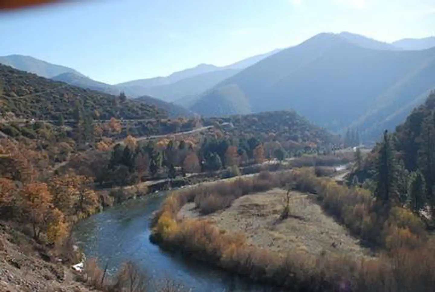 TREE OF HEAVEN CAMPGROUND photo 2