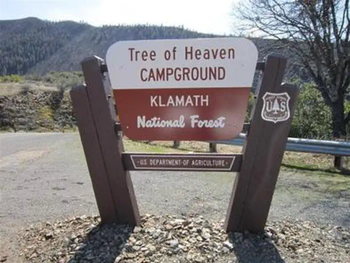 TREE OF HEAVEN CAMPGROUND photo 3