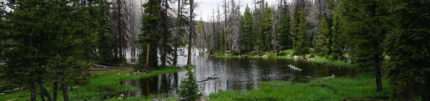 TRIAL LAKE CAMPGROUND photo