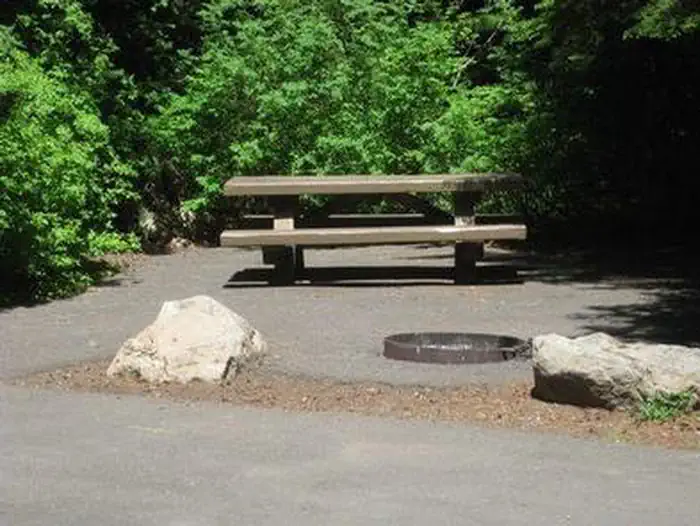 TRILLIUM photo 4