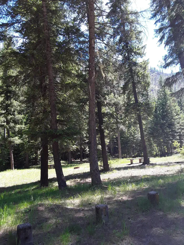 Trout Creek Campground (MT) photo 2