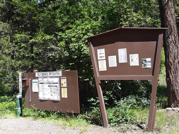 Trout Creek Campground (MT) photo 3