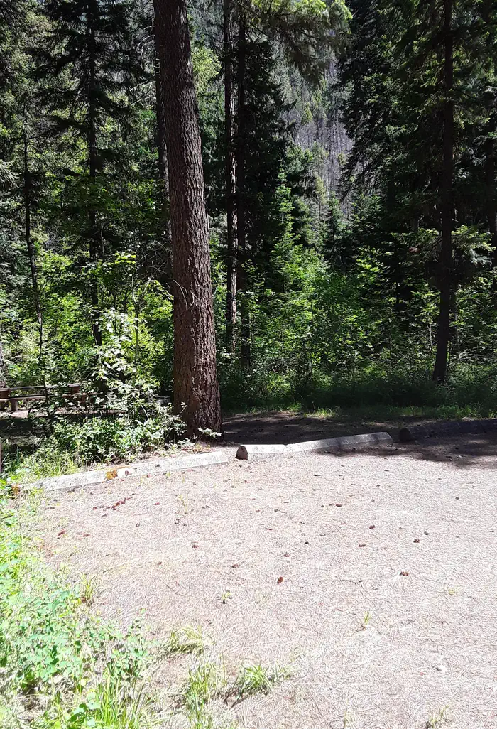 Trout Creek Campground (MT) photo 4
