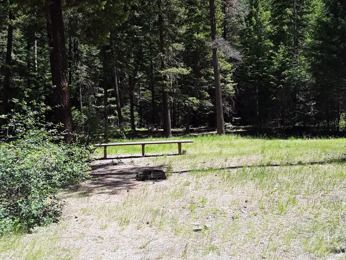 Trout Creek Campground (MT) photo 5